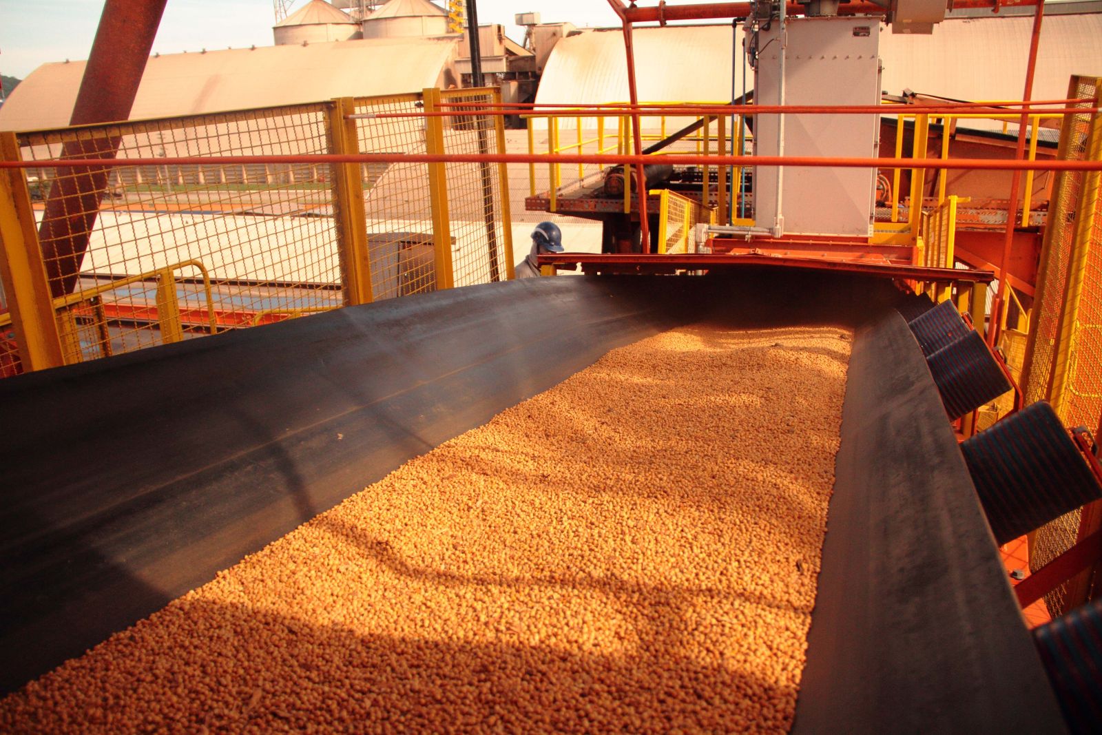 Băng tải kháng dầu