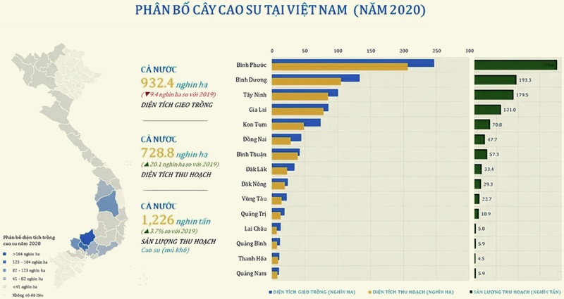 Phân bố cây cao su tại Việt Nam (số liệu năm 2020)