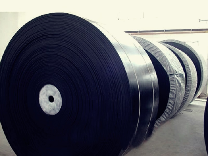 Thông số băng tải kháng hóa chất