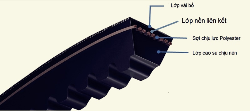 Cấu tạo dây cu roa loại thông dụng