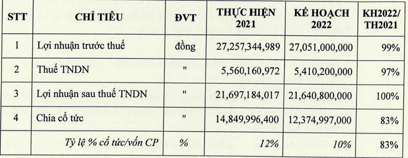 Doanh thu và lợi nhuận trong năm 2021 của BERUBCO